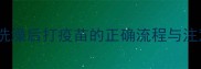 金毛犬洗澡后打疫苗的正确流程与注意事项