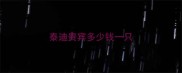 泰迪贵宾多少钱一只