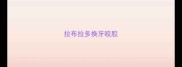 拉布拉多换牙咬胶