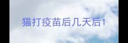 猫打疫苗后几天后