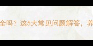 猫咪疫苗安全吗这5大常见问题解答养猫人必看