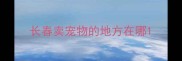 长春卖宠物的地方在哪