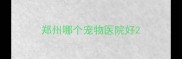 郑州哪个宠物医院好