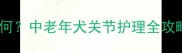 安贝宠物关节灵效果如何中老年犬关节护理全攻略附真实用户反馈
