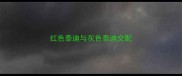 红色泰迪与灰色泰迪交配