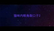猫咪内眼角裂口子