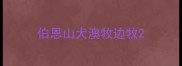伯恩山犬澳牧边牧