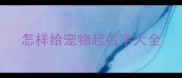 怎样给宠物起名字大全