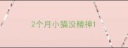 2个月小猫没精神