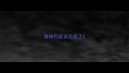 猫咪打疫苗后变了
