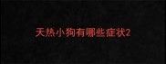 天热小狗有哪些症状