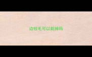 边牧毛可以剃掉吗
