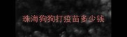 珠海狗狗打疫苗多少钱