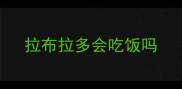 拉布拉多会吃饭吗