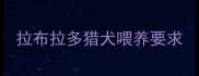 拉布拉多猎犬喂养要求