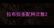 拉布拉多配种次数