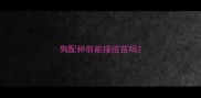 狗配种前能接疫苗吗