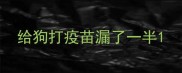 给狗打疫苗漏了一半