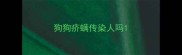 狗狗疥螨传染人吗