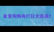家里狗狗有打狂犬疫苗