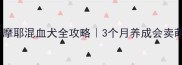 阿拉斯加哈士奇萨摩耶混血犬全攻略3个月养成会卖萌的三色小王子