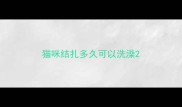 猫咪结扎多久可以洗澡
