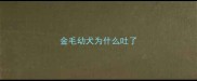 金毛幼犬为什么吐了