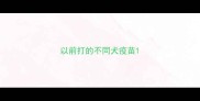 以前打的不同犬疫苗