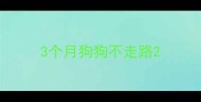 3个月狗狗不走路