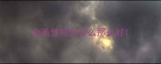 金毛性格为什么那么好