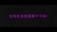 拉布拉多感冒鼻子干吗