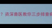 狗狗频繁咳嗽似卡喉资深兽医教你三步排查病因及家庭护理指南