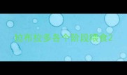 拉布拉多各个阶段喂食