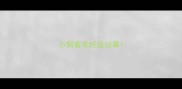小狗客车托运没事