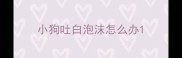 小狗吐白泡沫怎么办