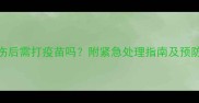 龙猫咬伤后需打疫苗吗附紧急处理指南及预防措施全