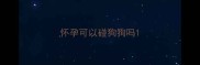 怀孕可以碰狗狗吗
