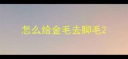 怎么给金毛去脚毛