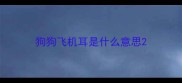 狗狗飞机耳是什么意思