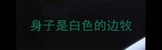 身子是白色的边牧