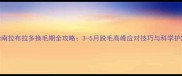 最新指南拉布拉多换毛期全攻略3-5月脱毛高峰应对技巧与科学护理方案