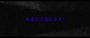 泰迪狗洗澡洗多久