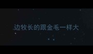 边牧长的跟金毛一样大