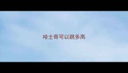 哈士奇可以跳多高