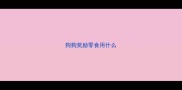 狗狗奖励零食用什么