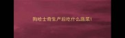 狗哈士奇生产后吃什么蔬菜