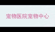 宠物医院宠物中心