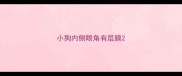 小狗内侧眼角有层膜