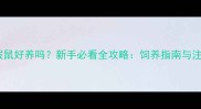 宠物土拨鼠好养吗新手必看全攻略饲养指南与注意事项
