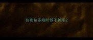 拉布拉多啥时候不掉毛